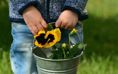 Kleine Gärtner: Wie man Kinder spielerisch für Gartenarbeit begeistert